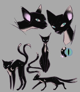 feral character ref sheet rough