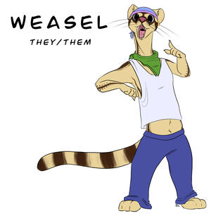 weasel! linsang. weasel! linsang.